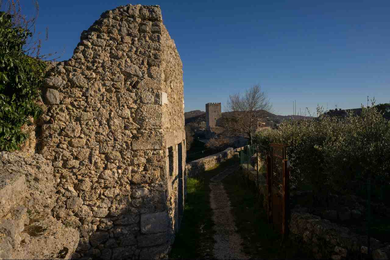 Tutti i modi per arrivare al porto di Civitavecchia
