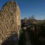 Tutti i modi per arrivare al porto di Civitavecchia